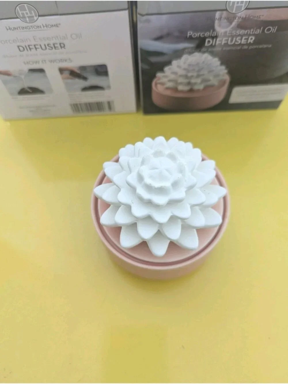 Huntington Home Porcelain Succulent Essential Oil Diffuser Aromatherapy NEW